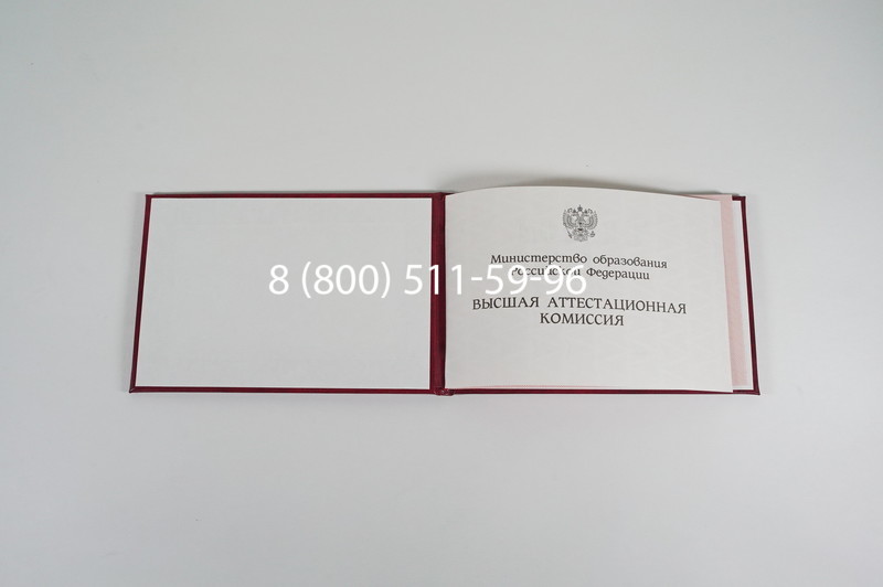 Диплом доктора наук 1995-2006 года в Костроме Диплом доктора наук 1995-2006 года в Костроме